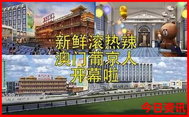 香港历史开奖走势图表查询结果